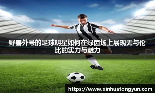 野兽外号的足球明星如何在绿茵场上展现无与伦比的实力与魅力